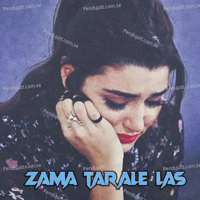 Zama Tarale Las - Shahid Khan album cover 