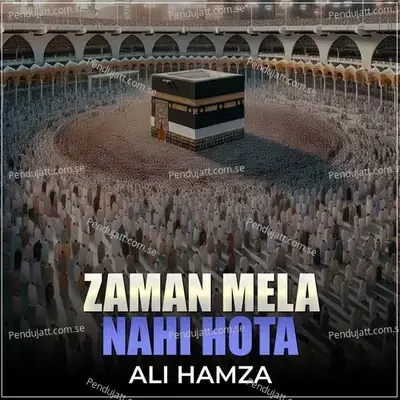 Zaman Mela Nahi Hota - Ali Hamza album cover 