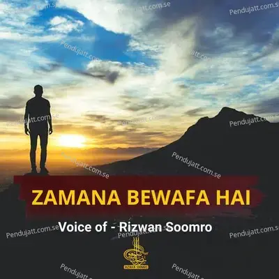 Zamana Bewafa Hai - Rizwan Soomro album cover 