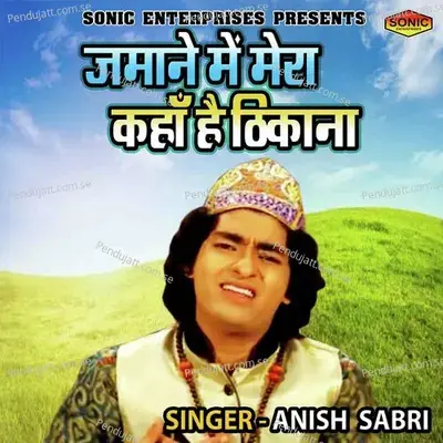 Zamane Main Mera Kahan Hai Thikana - Rais Anis Sabri album cover 