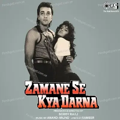 Zamane Se Kya Darna - Anand-Milind cover album