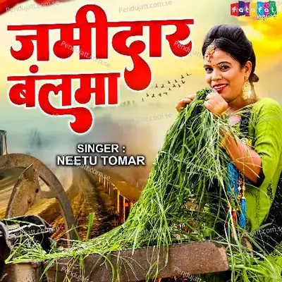 Zamidar Balma - Neetu Tomar album cover 