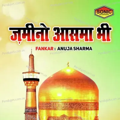 Zamino Asma Bhi - Anuja Sharma album cover 