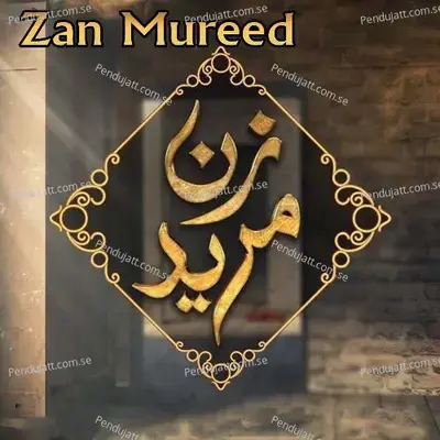 Zan Mureed - Yamsa Noor album cover 