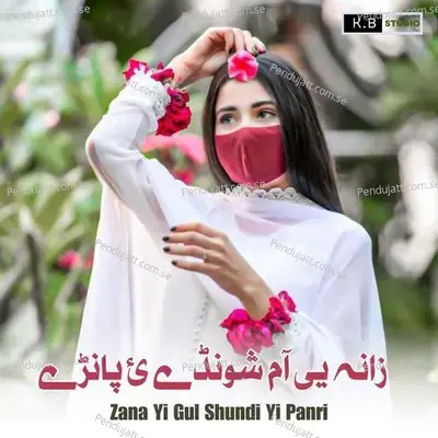 Zana Yi Gul Shundi Yi Panri - K.B Studio album cover 