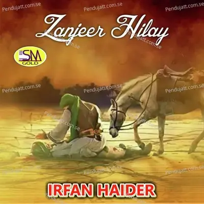 Gounji Malaikha Vich - Irfan Haider album cover 