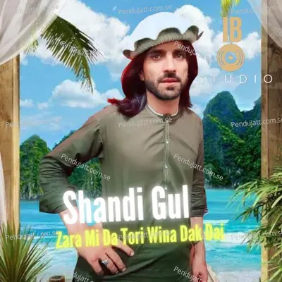 Zara Mi Da Tori Wina Dak Dai - Shandi Gul Mizarwal album cover 