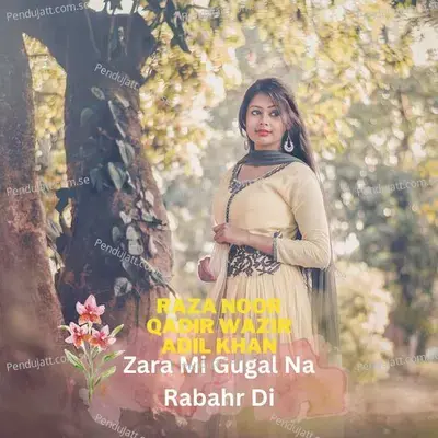 Zara Mi Gugal Na Rabahr Di - Raza Noor album cover 