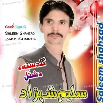 Zara Sambal - Saleem Shahzad cover album