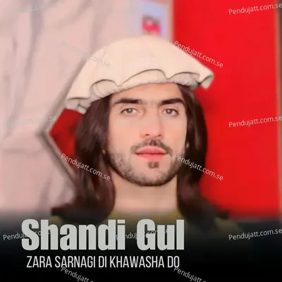 Zara Sarnagi Di Khawasha Do - Shandi Gul album cover 