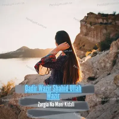 Zargia Na Mani Kidali - Qadir Wazir album cover 