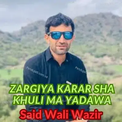 Zargiya Karar Sha Khuli Ma Yadawa - Said Wali Wazir album cover 