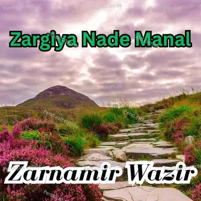 Zargiya Nade Manal - Zarnamir Wazir album cover 