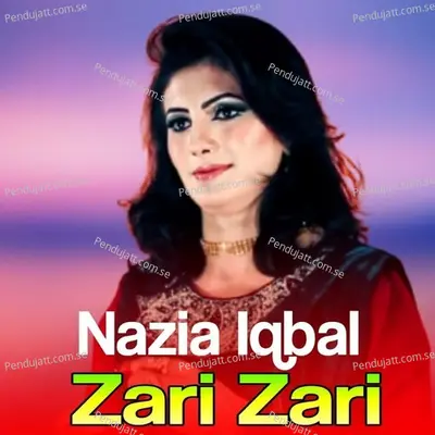 Zari Zari - Nazia Iqbal cover album