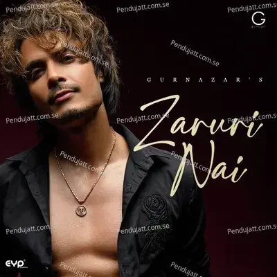 Zaruri Nai - Gurnazar album cover 