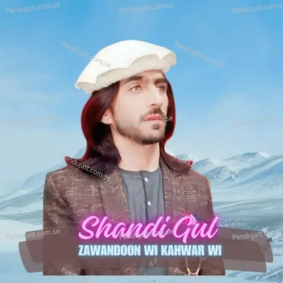 Zawandoon Wi Kahwar Wi - Shandi Gul Mizarwal album cover 