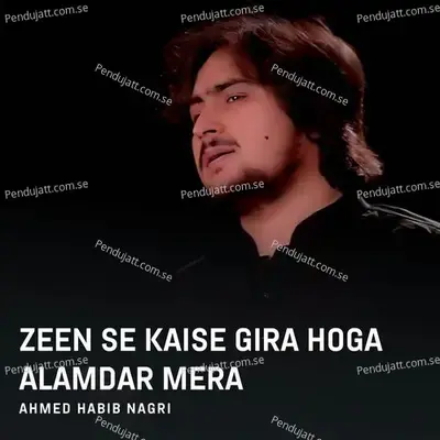 Zeen Se Kaise Gira Hoga Alamdar Mera - Ahmed Habib Nagri album cover 