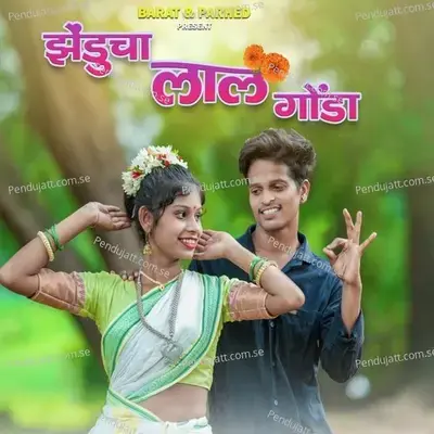 Zenducha Lal Gonda - Roshan Ravte album cover 