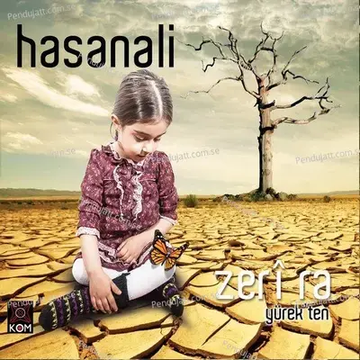 Payîze - Hasan Ali album cover 