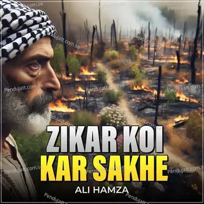 Zikar Koi Kar Sakhe - Ali Hamza album cover 