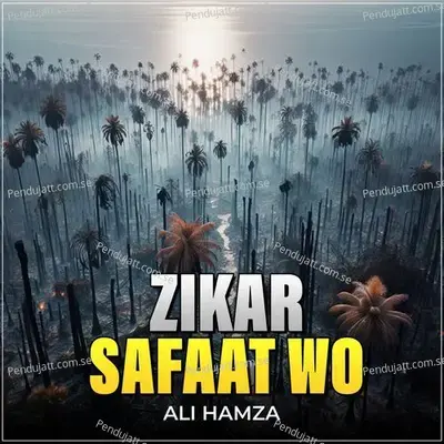 Zikar Safaat Wo - Ali Hamza album cover 