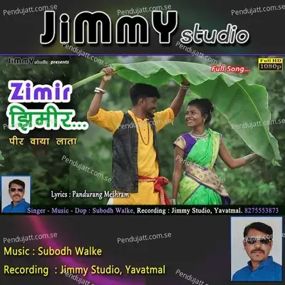 Zimir Zimir Pir Waya Lata - Pandurang Meshram album cover 