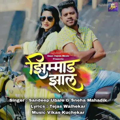 Zimmad Zal - Sandeep Ubale album cover 