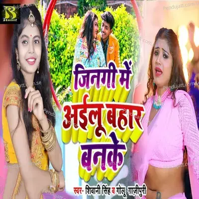 Zinagi Me Ailu Bahar Banke - Golu Gazipuri album cover 