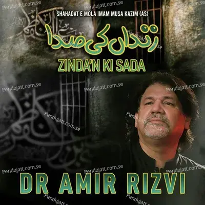 Zinda  039 N Ki Sada - Dr. Amir Rizvi album cover 