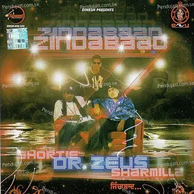 Zindabaad Remix - Dr. Zeus album cover 