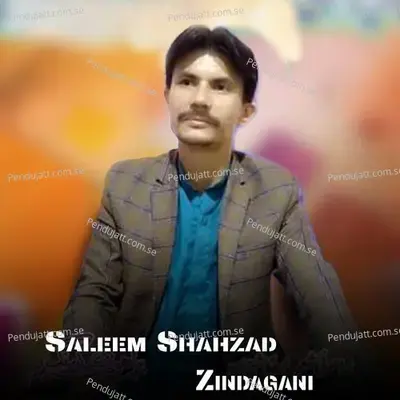 Zindagani - Saleem Shahzad album cover 