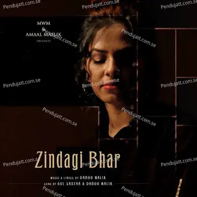 Zindagi Bhar - Daboo Malik album cover 