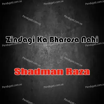 Aap Kia Jany Fatma Kia Hai - Shadman Raza album cover 