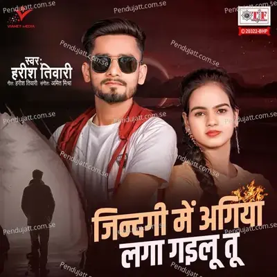 Zindagi Mein Agiya Laga Gailu Tu - Harish Tiwari