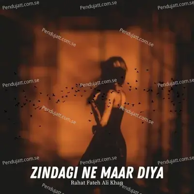 Zindagi Ne Maar Diya - Rahat Fateh Ali Khan album cover 