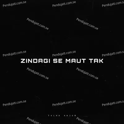 Zindagi Se Maut Tak - Talha Anjum album cover 