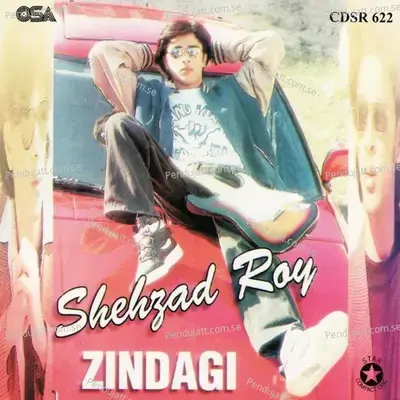 Zindagi - Vol  4 - Shehzad Roy cover album