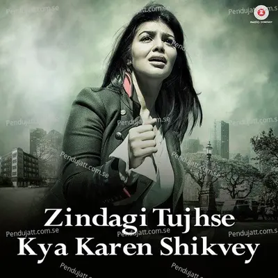 Zindagi Tujhse Kya Karen Shikvey - Amit Mishra album cover 