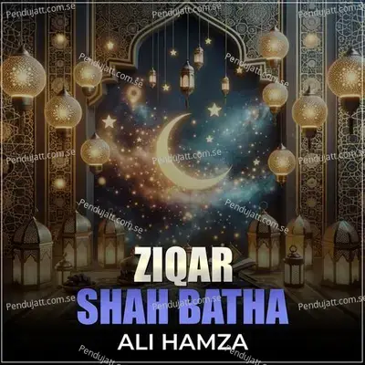 Ziqar Shah Batha - Ali Hamza album cover 