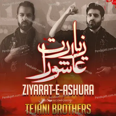 Ziyarat E Ashura - Tejani Brothers album cover 