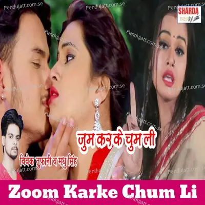 Zoom Karke Chum Li - Vivek Tufani album cover 