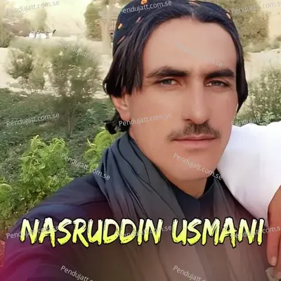 Zyata Ba Dar Na Kie Sok Las - Nasruddin Usmani album cover 