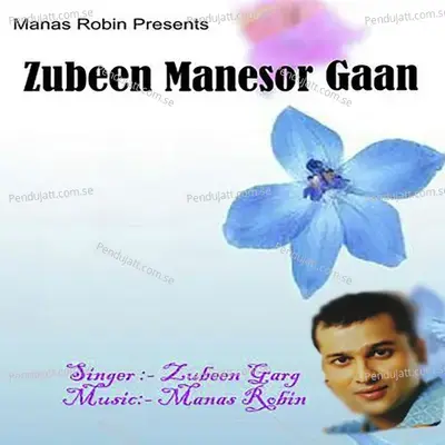 Hetuluka Petuluka - Zubeen Garg album cover 