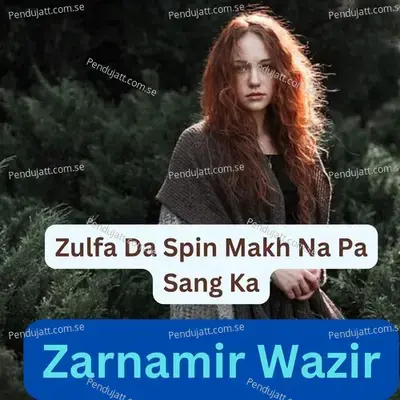 Zulfa Da Spin Makh Na Pa Sang Ka - Zarnamir Wazir album cover 