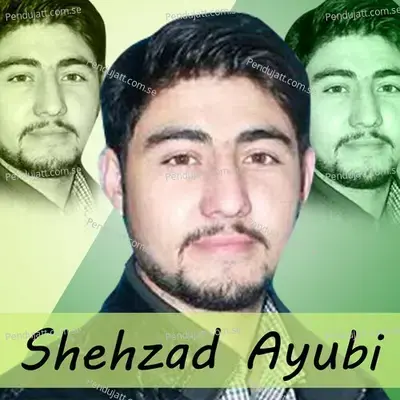 Zulum Hazar Beko D Kostan - Shehzad Ayubi album cover 