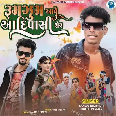 Zum Zum Aave Aadivasi Sher - Sanjay Bhabhor album cover 