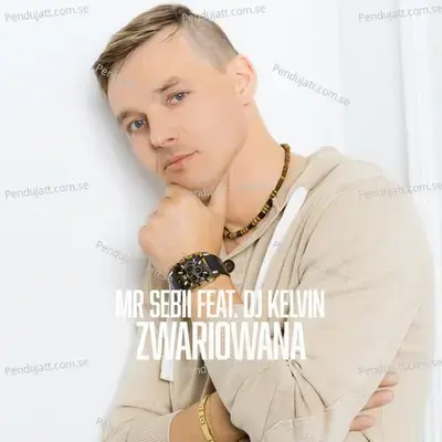 Zwariowana  Radio Edit  - Mr Sebii