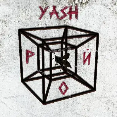 Wm3 - Yash album cover 