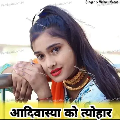 आदिवास्या को त्योहार - Vishnu Meena album cover 