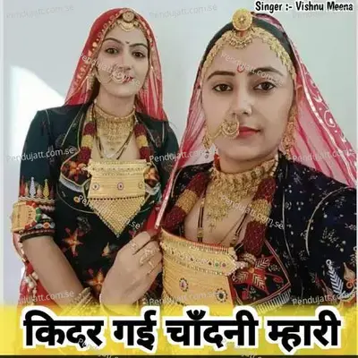 किदर गई चाॅंदनी म्हारी - Vishnu Meena album cover 